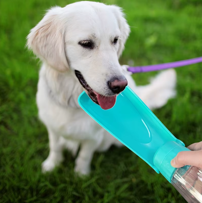 2025-05-0810_33_58-Chien_ZopiDropshipping_Shopify
